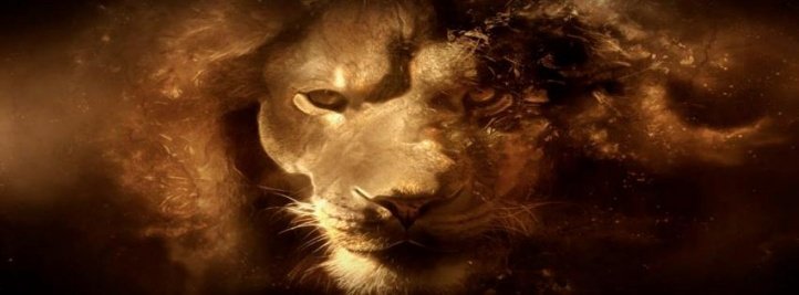 Predicciones del Maestro Joao para 2013